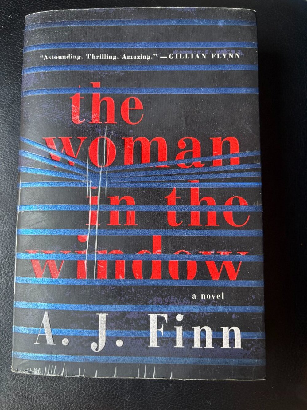 The Women in the Window by A. J. Finn